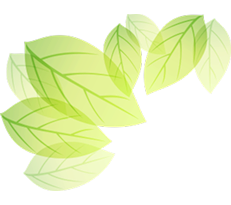 Continuing Education and Relaxation