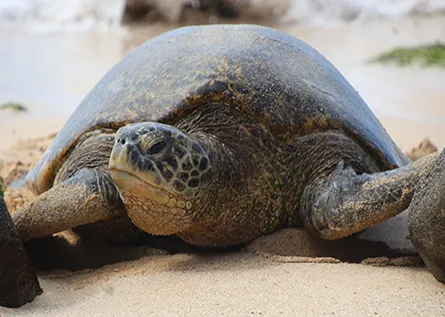 Get the Latest Updates With Our Newsletter