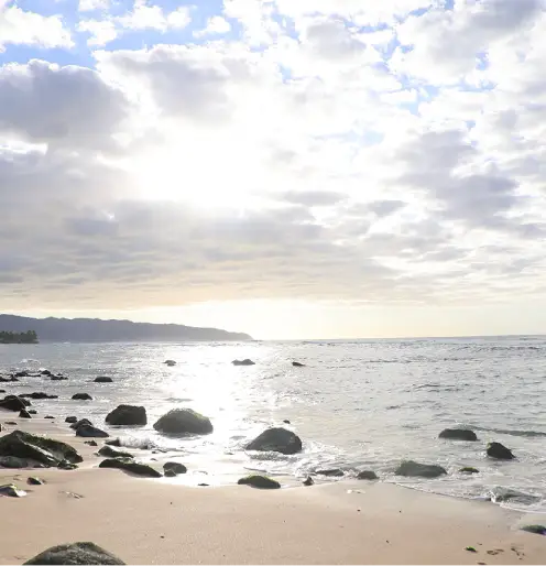 Earn up to 16 APA and NBCC CES’s